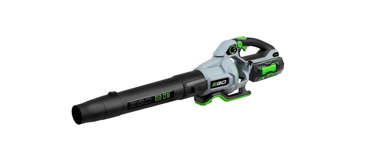 Best EGO Power+ Cordless Leaf Blower