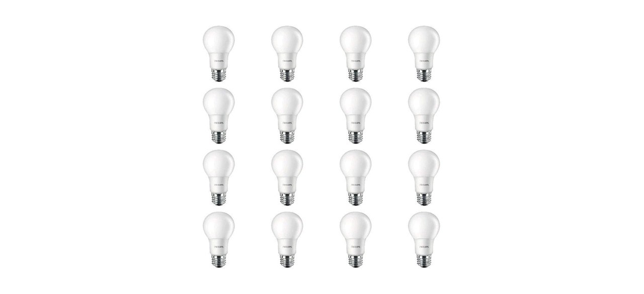 LED Light Bulbs on white background