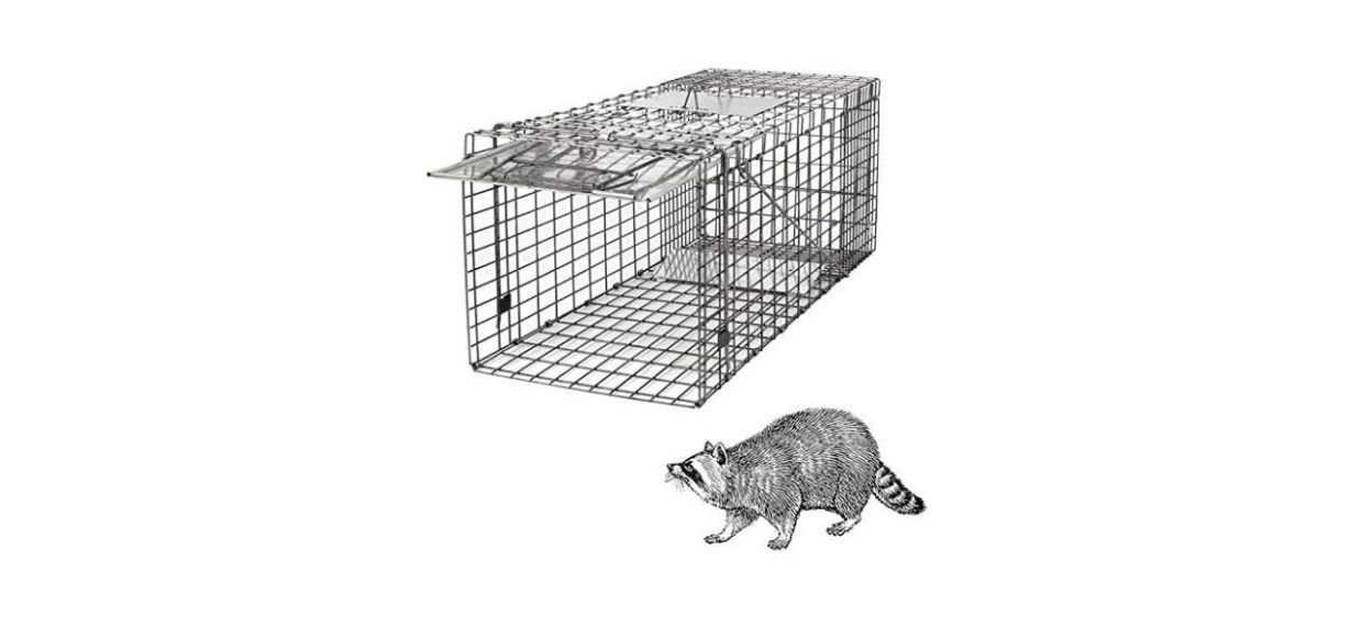 The 8 best animal traps