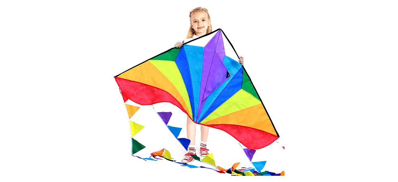 HONBO Large Delta Kite