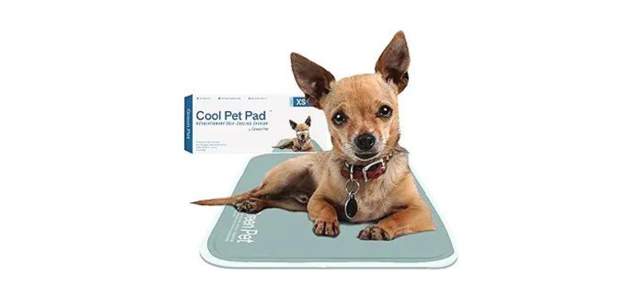 The Green Pet Shop Dog Cooling Mat