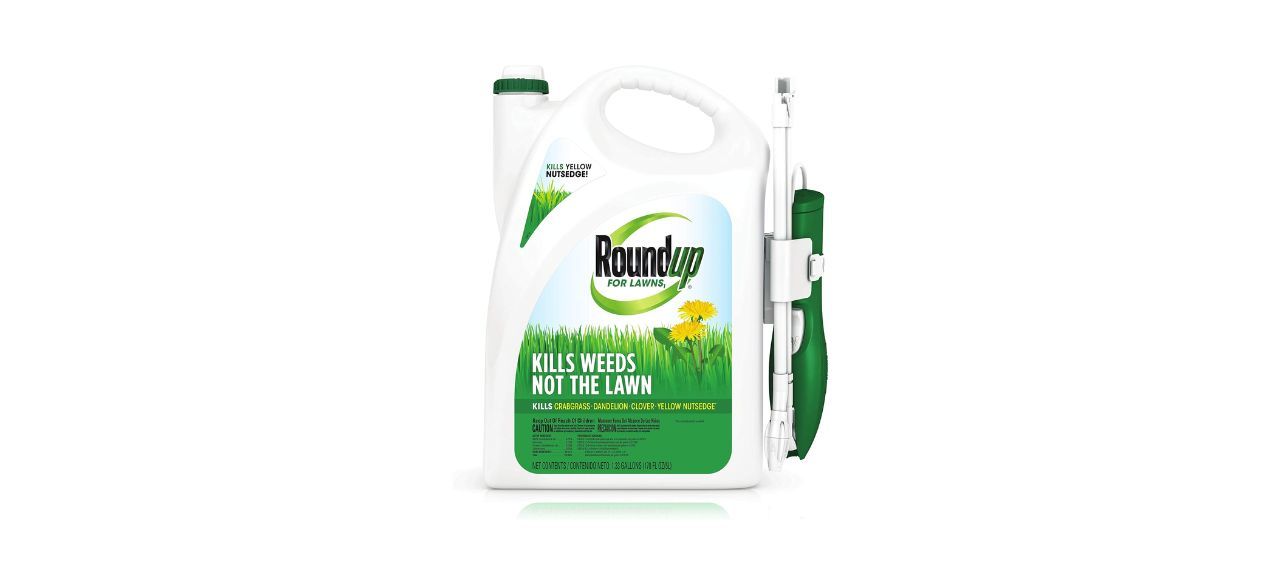 Roundup weed killer for lawns