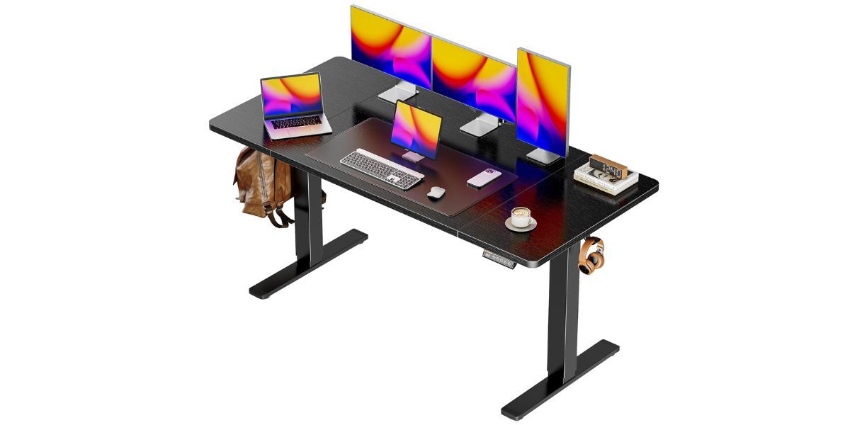 Huuger 55 x 28 Large Electric Standing Desk