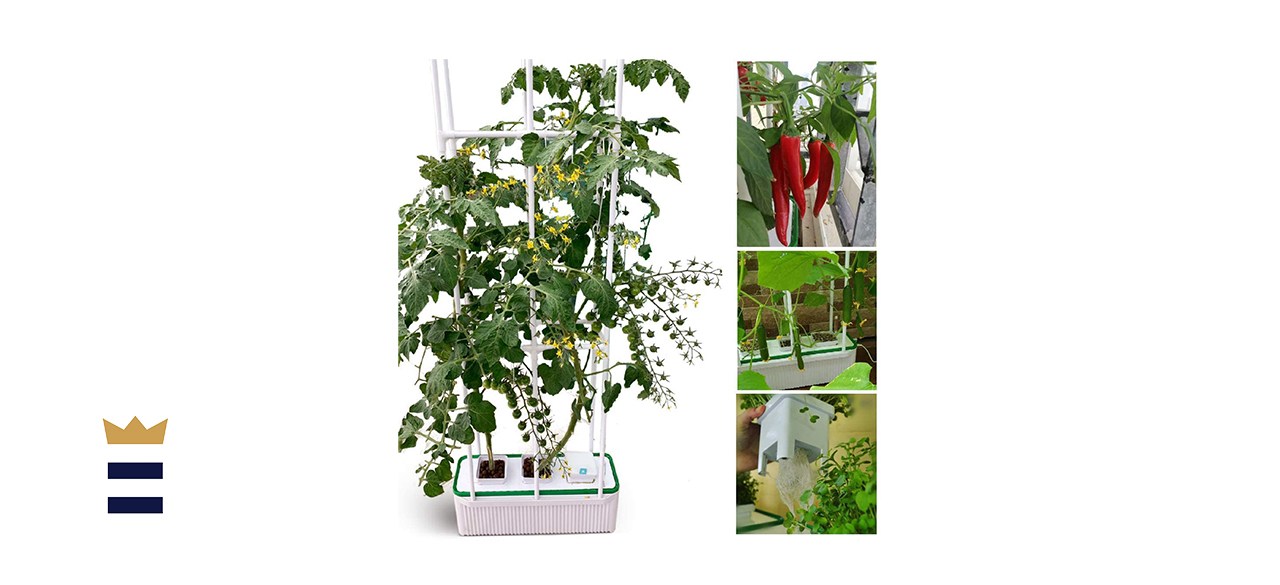 Smart Hydroponics Growing System for Indoor Gargen