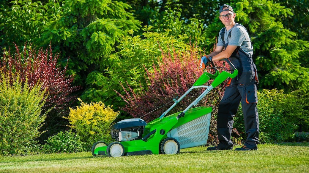 Best Lawn Services