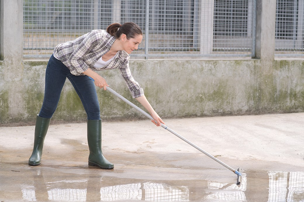 5 Best Floor Squeegees July 2021 BestReviews