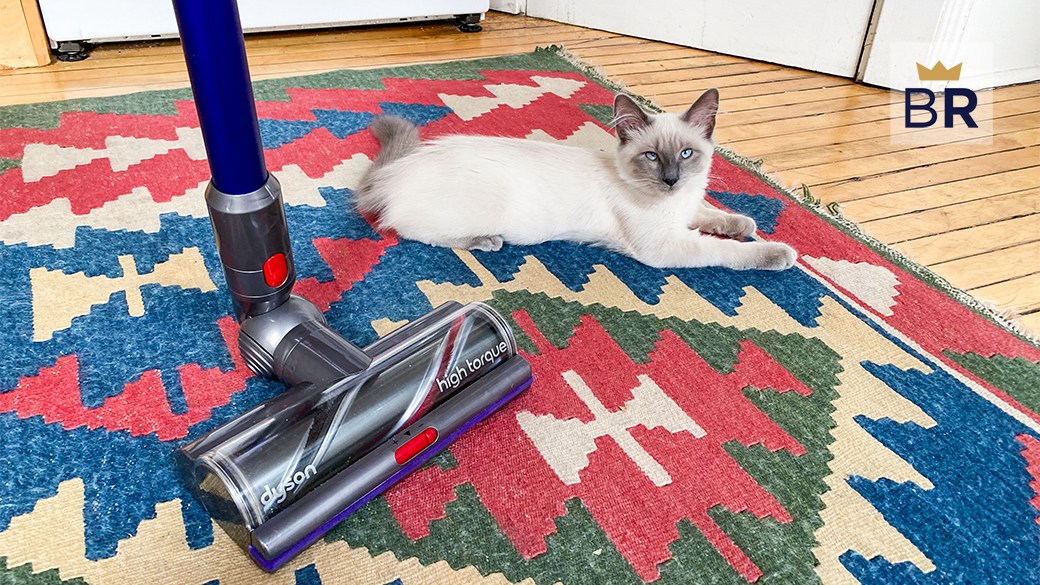 Can a Dyson vacuum get the job done picking up after my cat? I put it