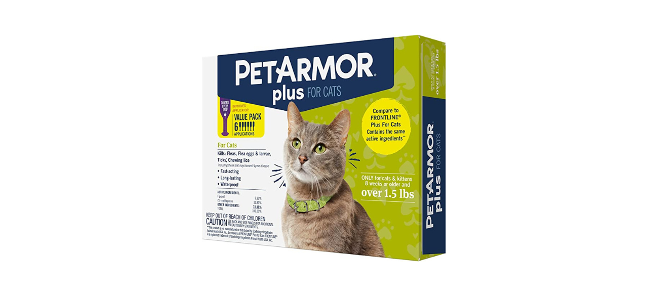 Keep pests off your pet with the best flea and tick medicine for cats ...