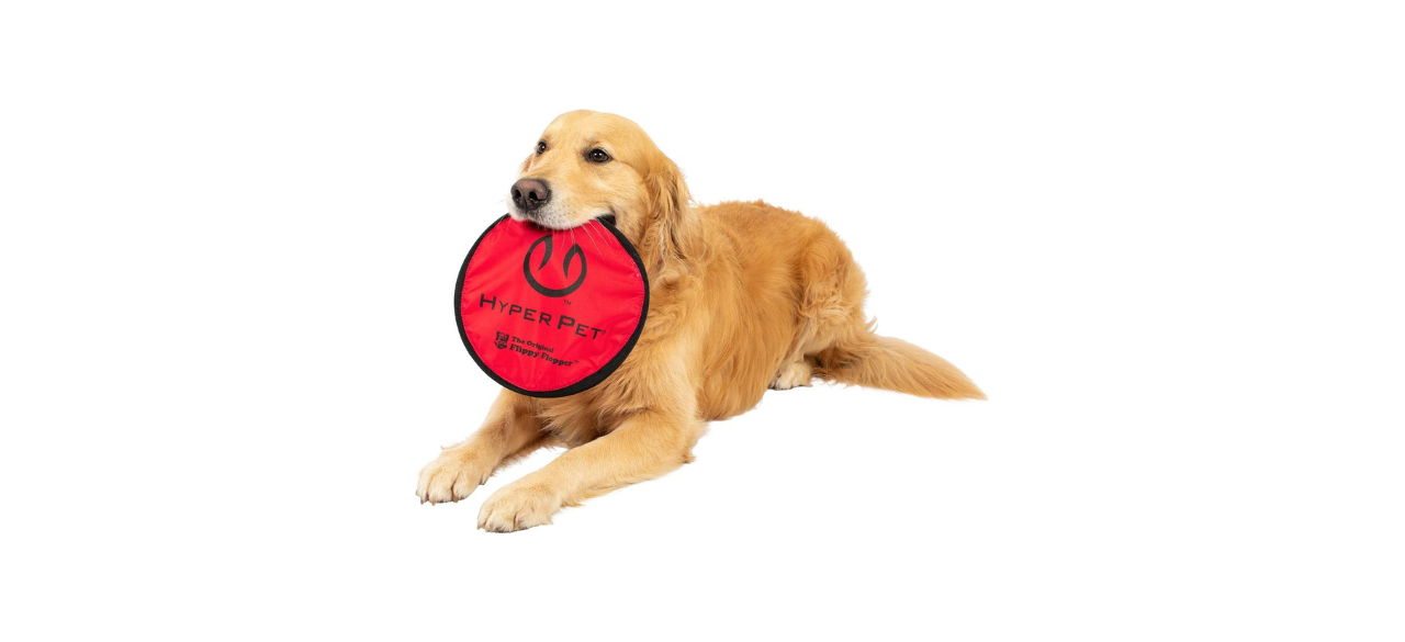 best Hyper Pet Flippy Flopper Frisbee Dog Toy