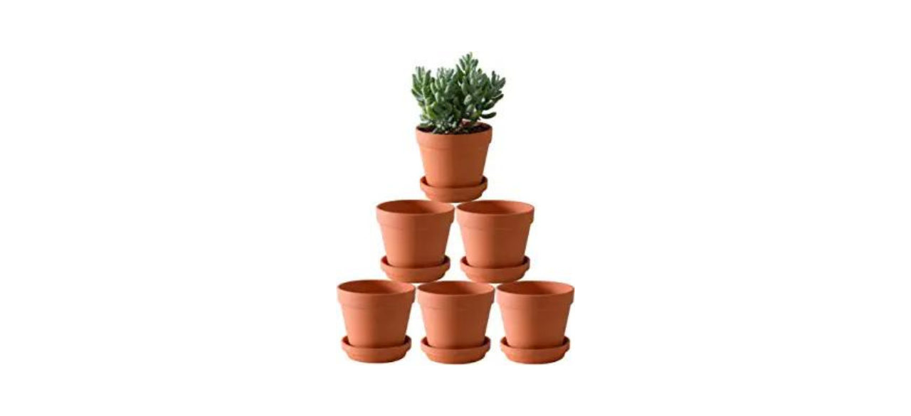 terracotta flower pots