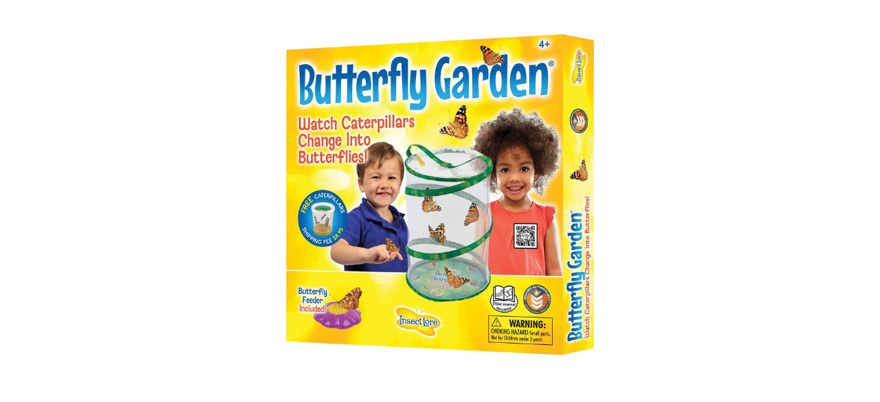 Insect Lore BH Butterfly Growing Kit