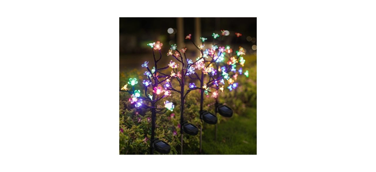 Jack & Rose Flower Solar Garden Lights