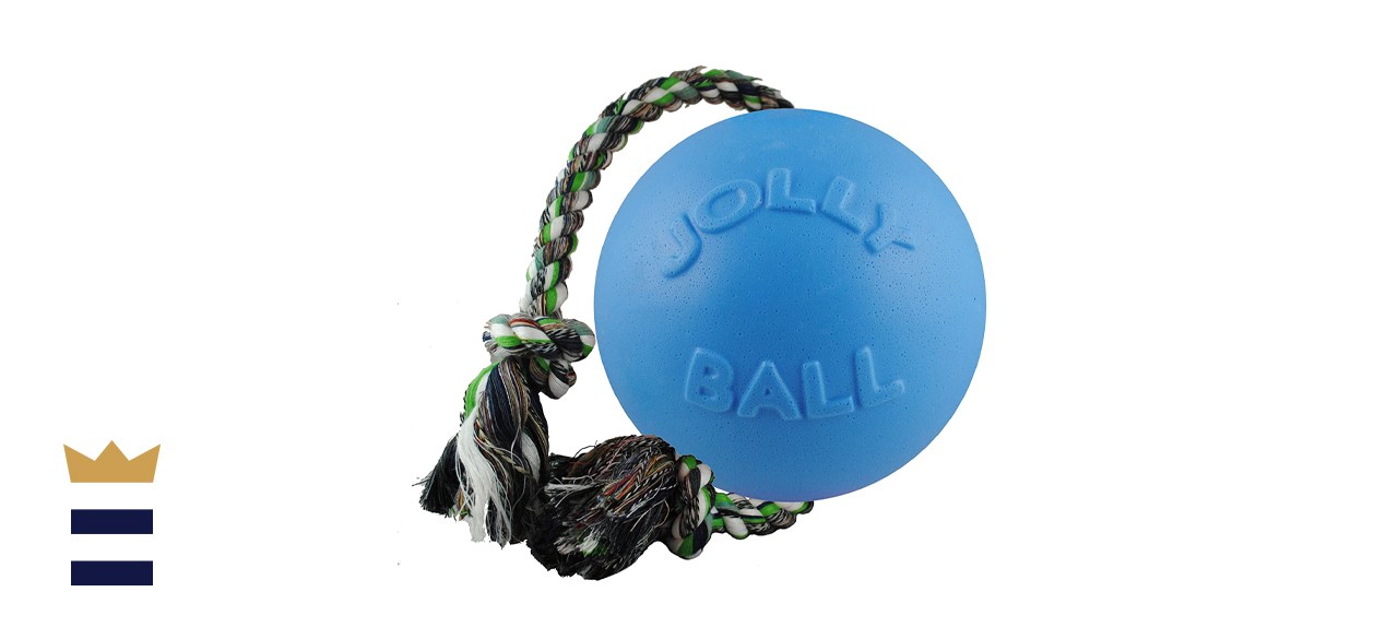 Jolly Pet Romp-n-Roll Dog Toy