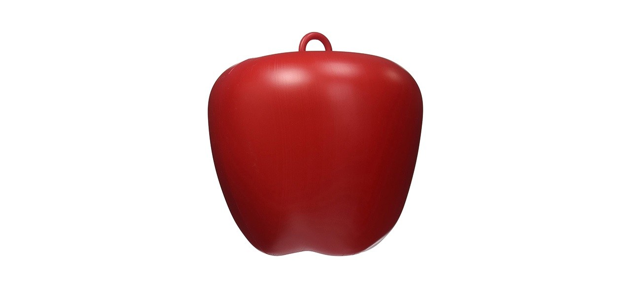 Jolly Pets Apple Toy