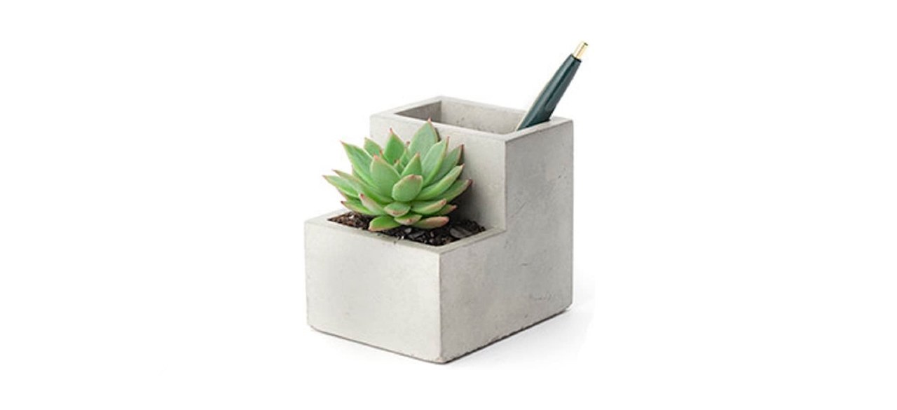 Kikkerland Concrete Desktop Planter for Succulents 