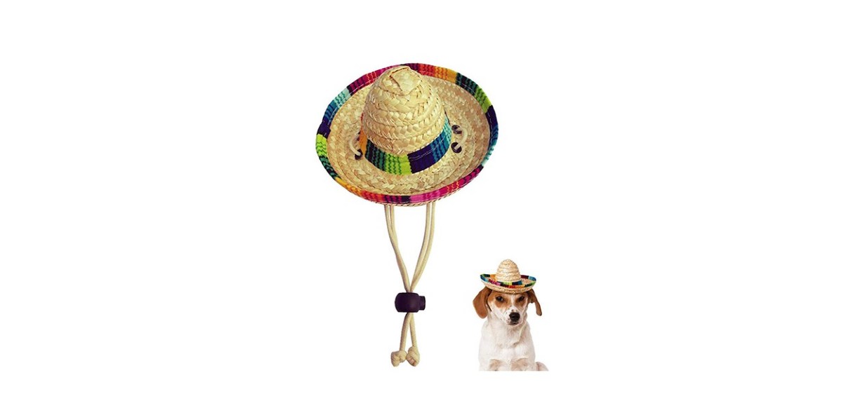 Kitatayi Dog Sombrero Hat