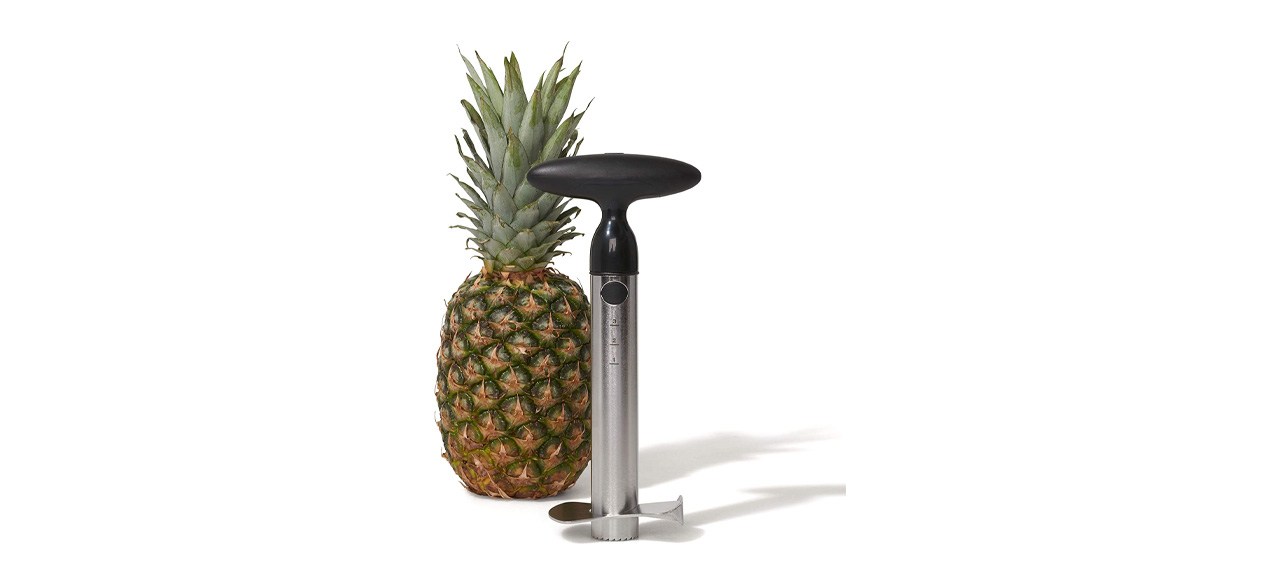 Best OXO Good Grips Stainless Steel Pineapple Corer And Slicer