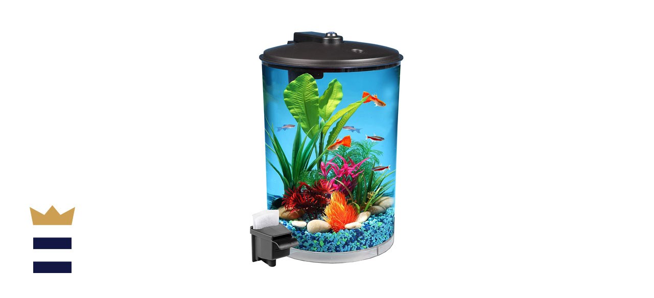 3 gallon fish tanks