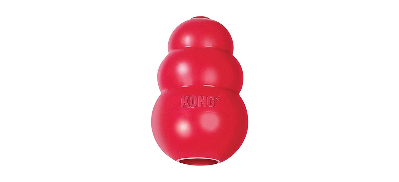 KONG Classic