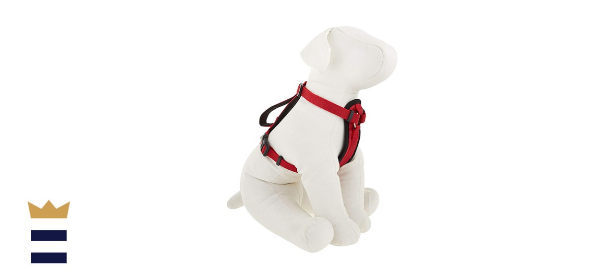 Kong Comfort Ultra Padded Dog Harness