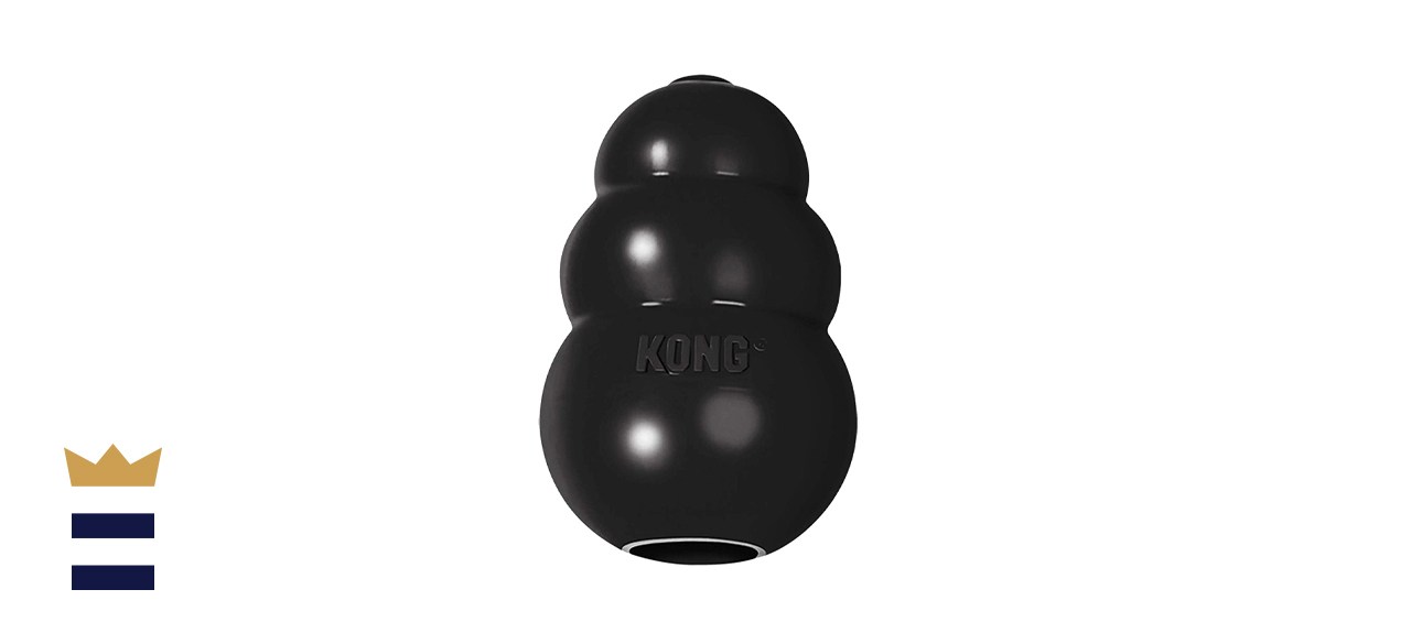 KONG Extreme Dog Toy