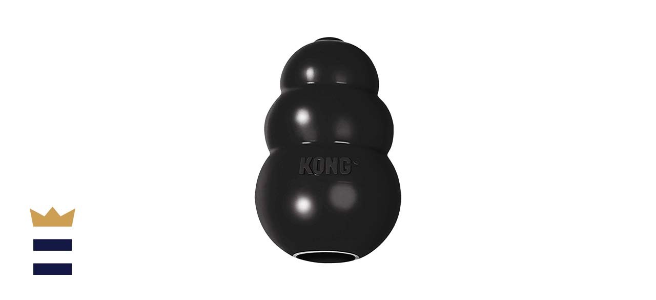 KONG - Extreme Dog Toy