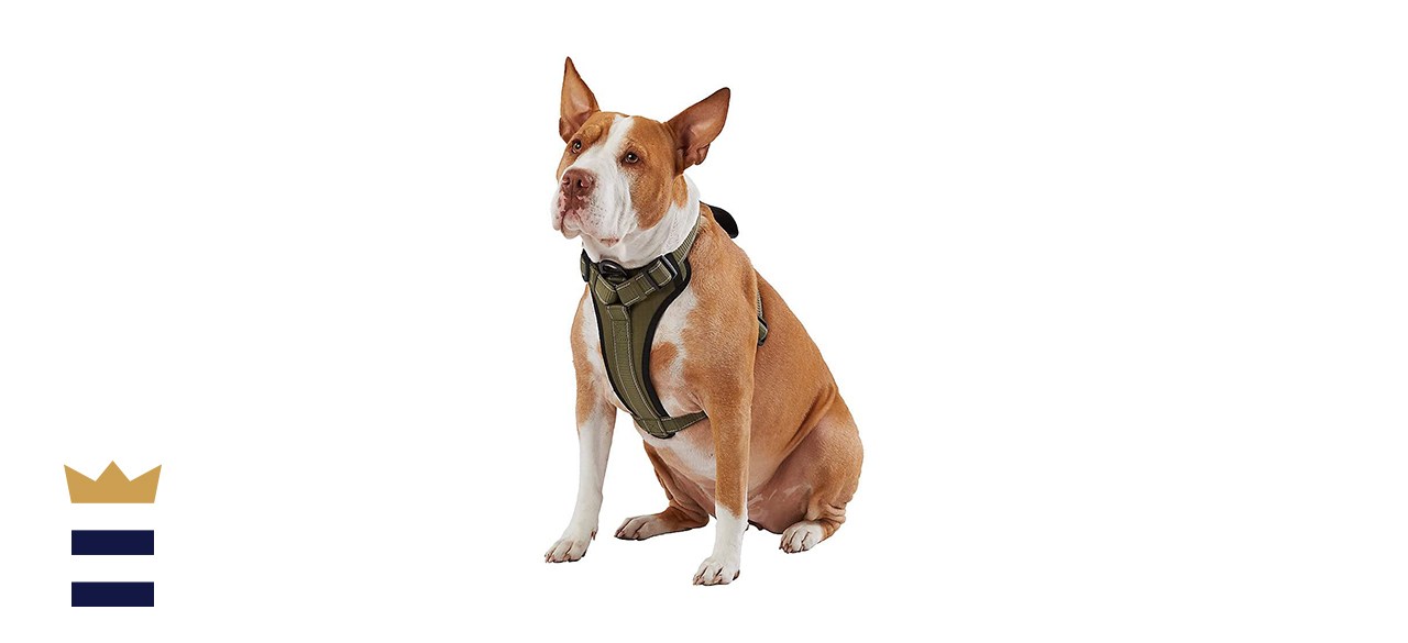 kong waste bag dog harness