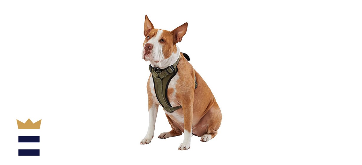 Kong Max Ultra Durable Neoprene Padded Dog Harness