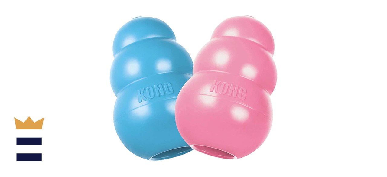 Kong Puppy Teething Toy