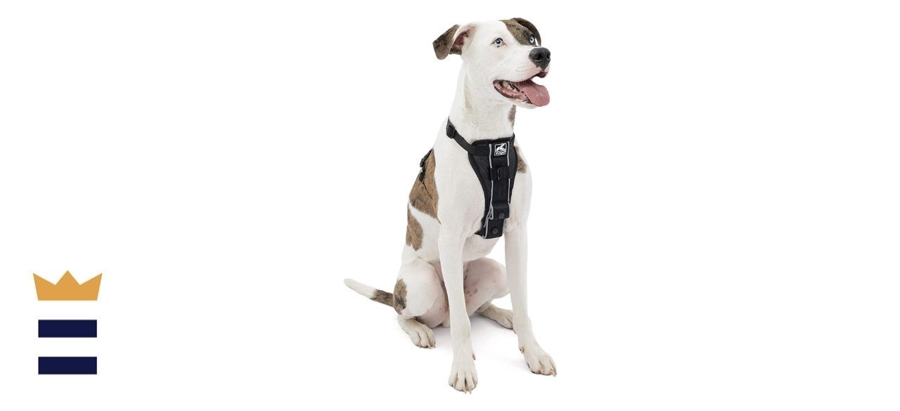 Kurgo Tru-Fit Smart Dog Harness