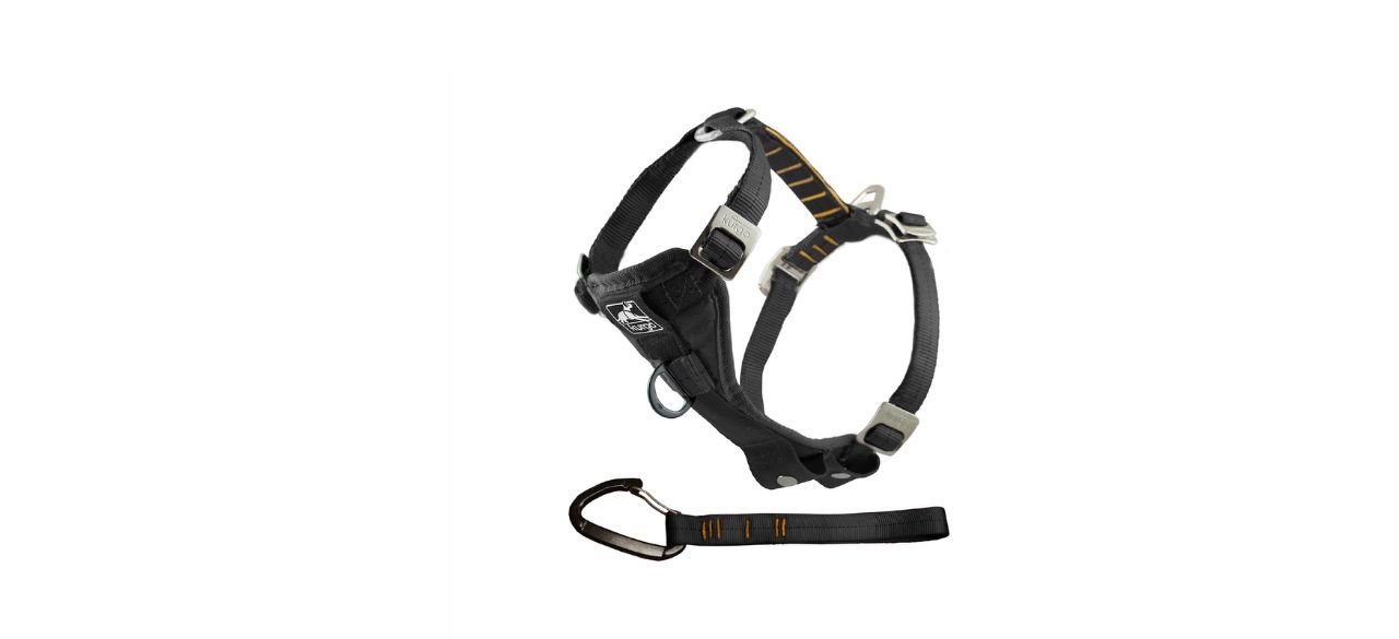 Kurgo Tru-Fit Smart Harness