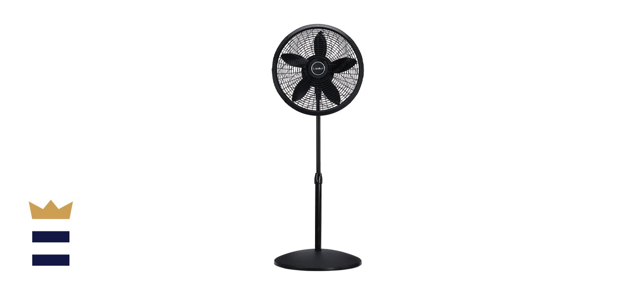 Best Standing Fan For Living Room