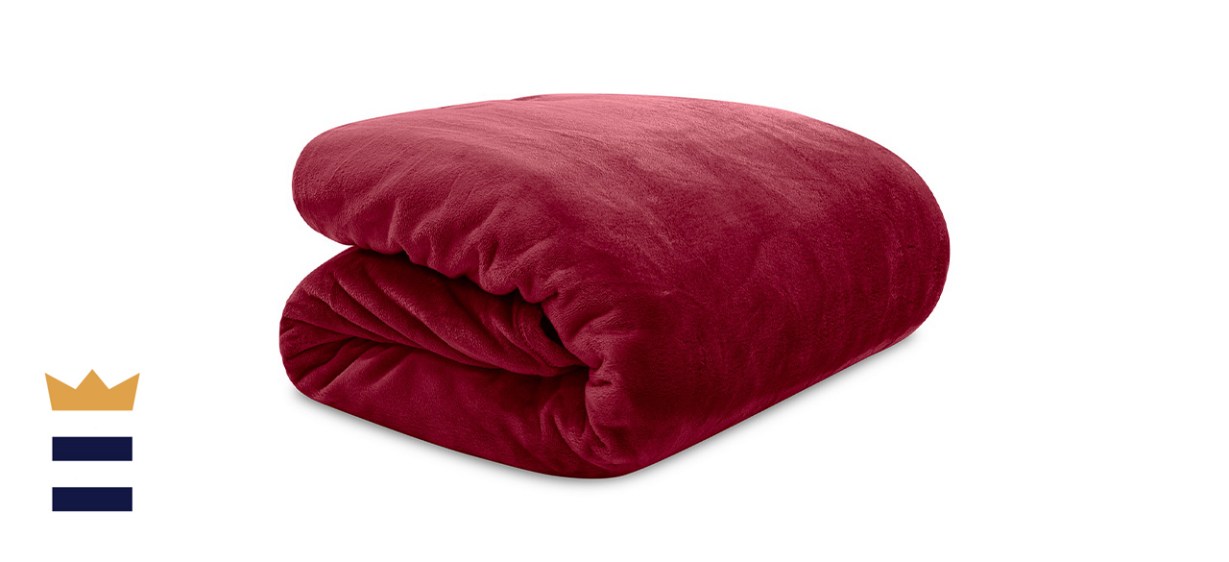 Lauren Ralph Lauren Micromink Plush Twin Blanket Lauren Ralph Lauren Micromink Plush Twin Blanket