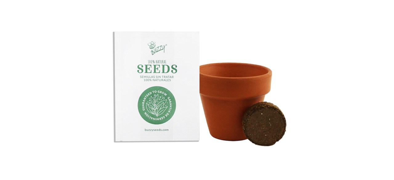 Lavender Mini Plant Grow Kit With Terra Cotta Pot on white background