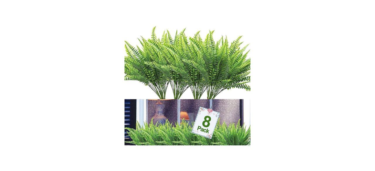 Turnmeon Fake Boston Fern