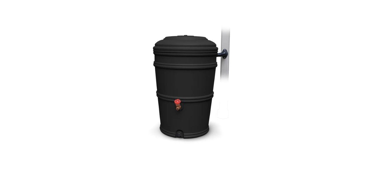 EarthMinded 45-gallon Rain Barrel