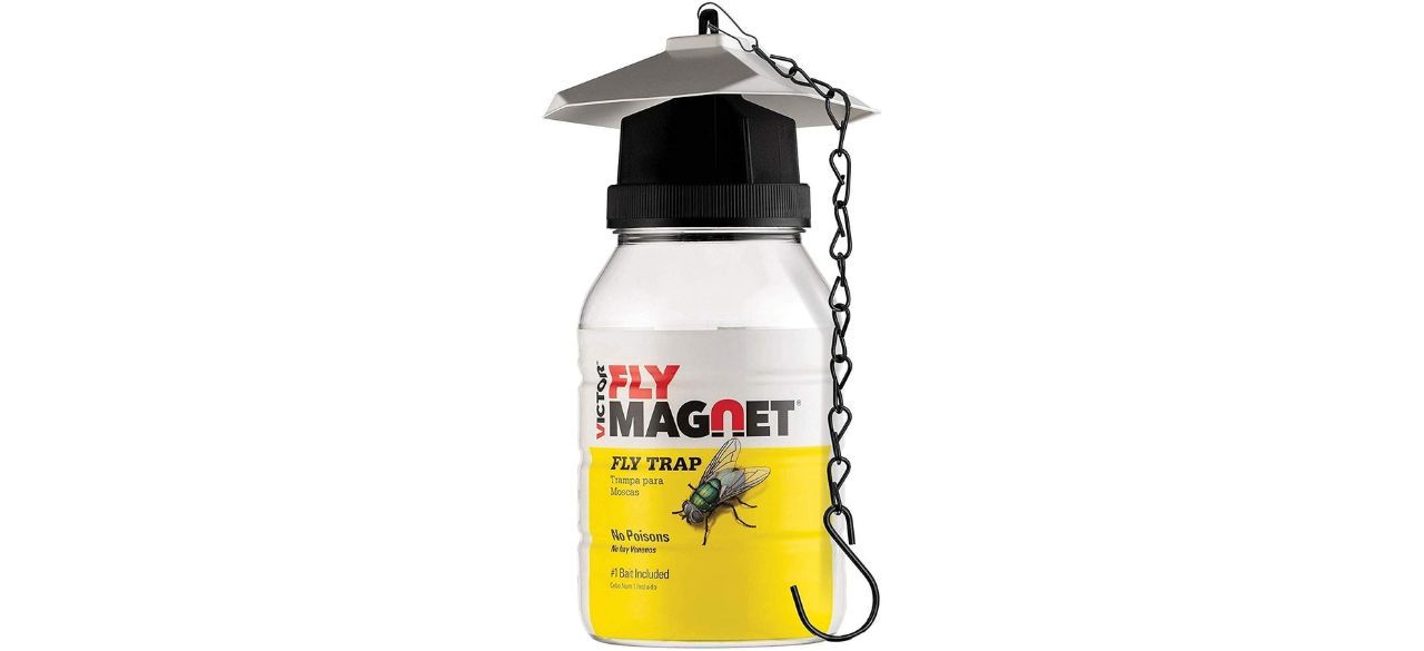 Safer® Home Spider & Insect Traps