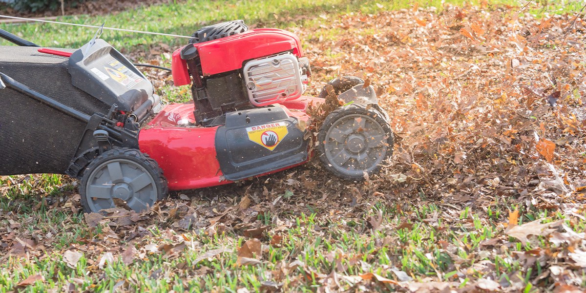 Lawn mower in yard with fallen leaves