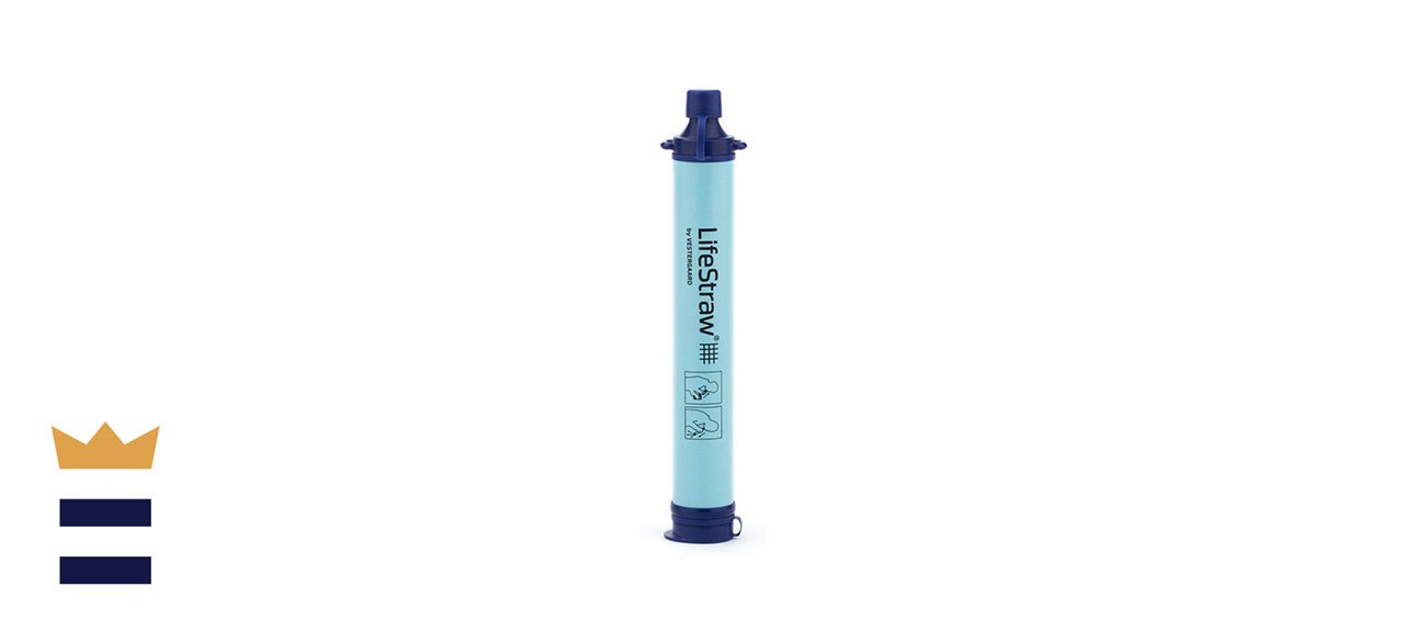 LifeStraw Personal Water Filter