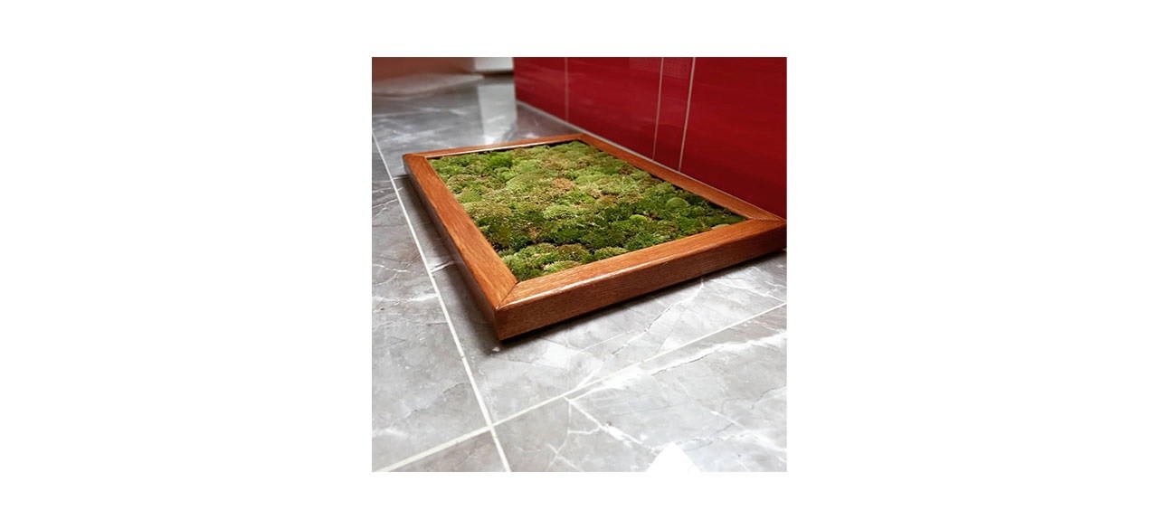 Luxury Wood Frame Live Pole Moss Bath Mat