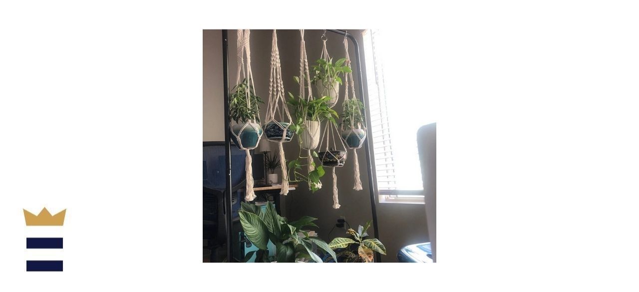 Macrame Plant Hanger 5-Piece Set