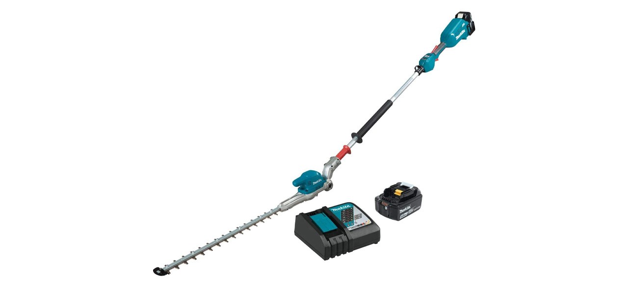 best pole hedge trimmer