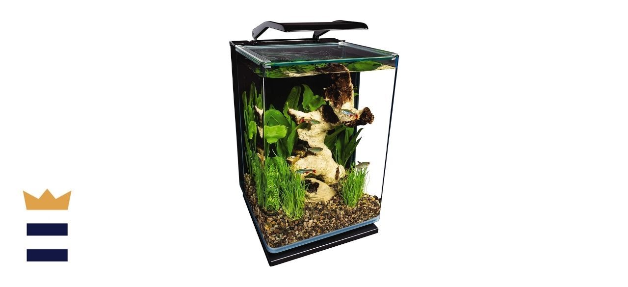 cheap aquariums