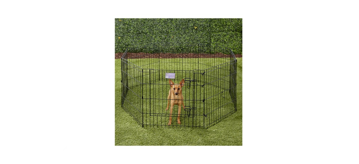 MidWest Wire Dog Exercise Pen with Step-Thru Door