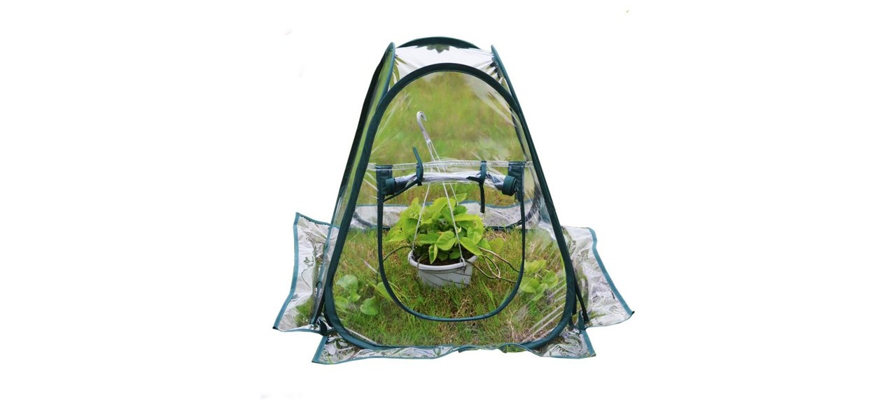 Mini Pop-Up Greenhouse