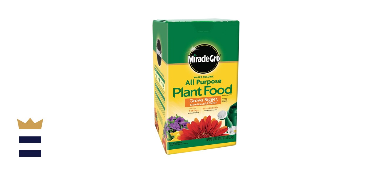 Miracle-Gro Water Soluble All Purpose Plant Food, 8 Oz.