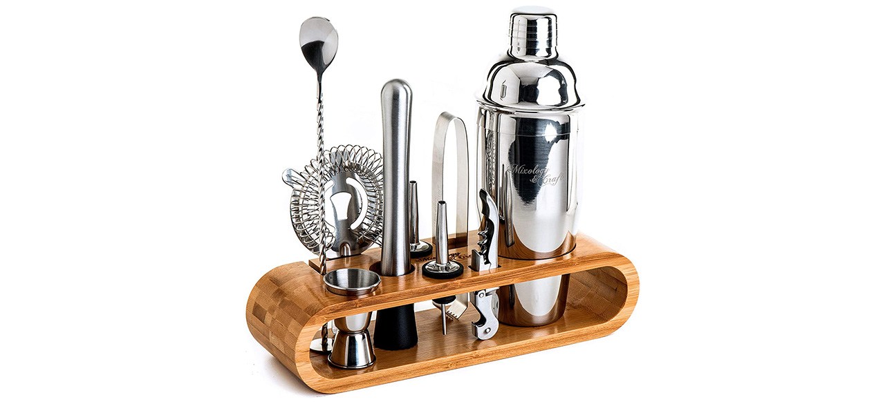 Mixology & Craft Bartender Kit