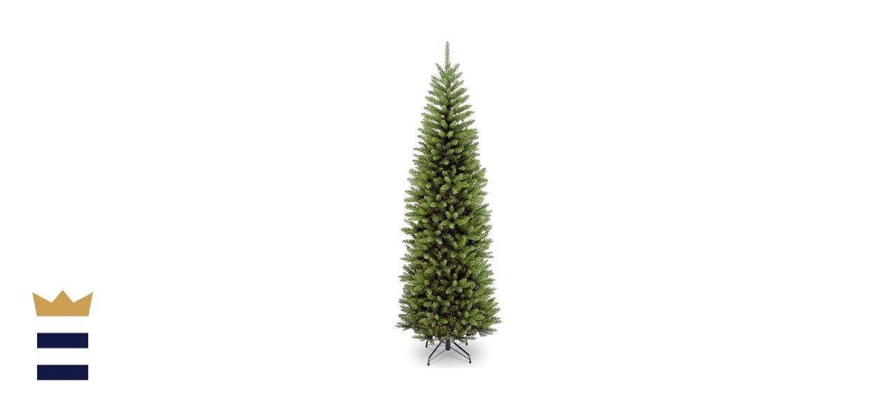 Best Christmas Tree Wfla