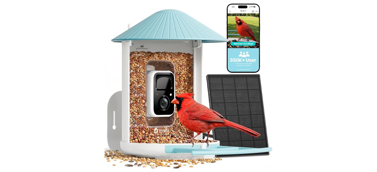 NETVUE by Birdfy Smart Bird Feeder