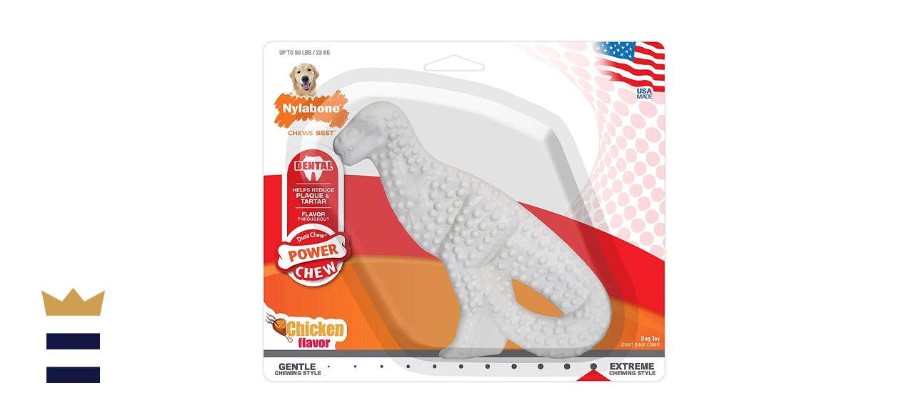 Nylabone Dental Dinosaur Chew Toy